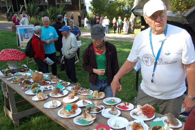 Östra Vätterbranternas Biosfärområdes invigning 9 sept 2012  – artlista på svampbordet.